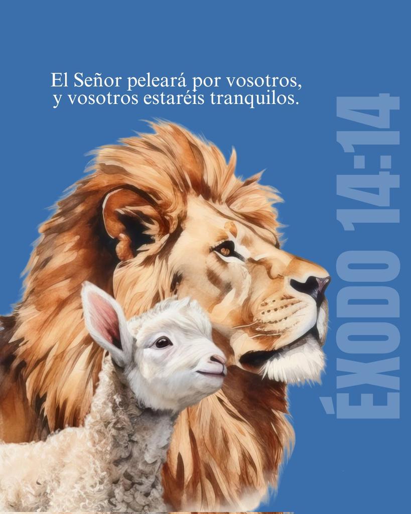 Biblia_Linea's tweet image. Confía en Dios!