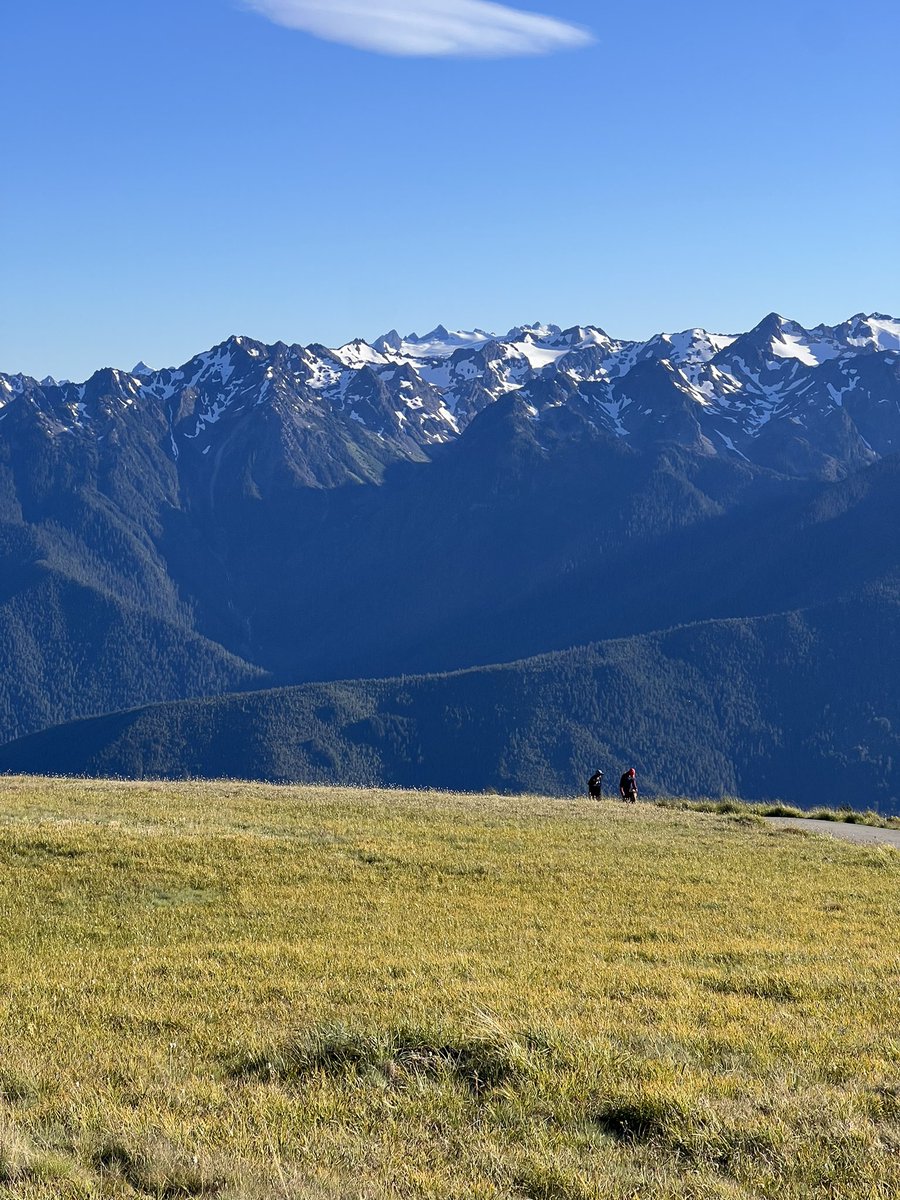 JustGusPD's tweet image. Stunning trip up to Olympic National Park and B.C. 10 days was nowhere near enough time. We’ll be back.