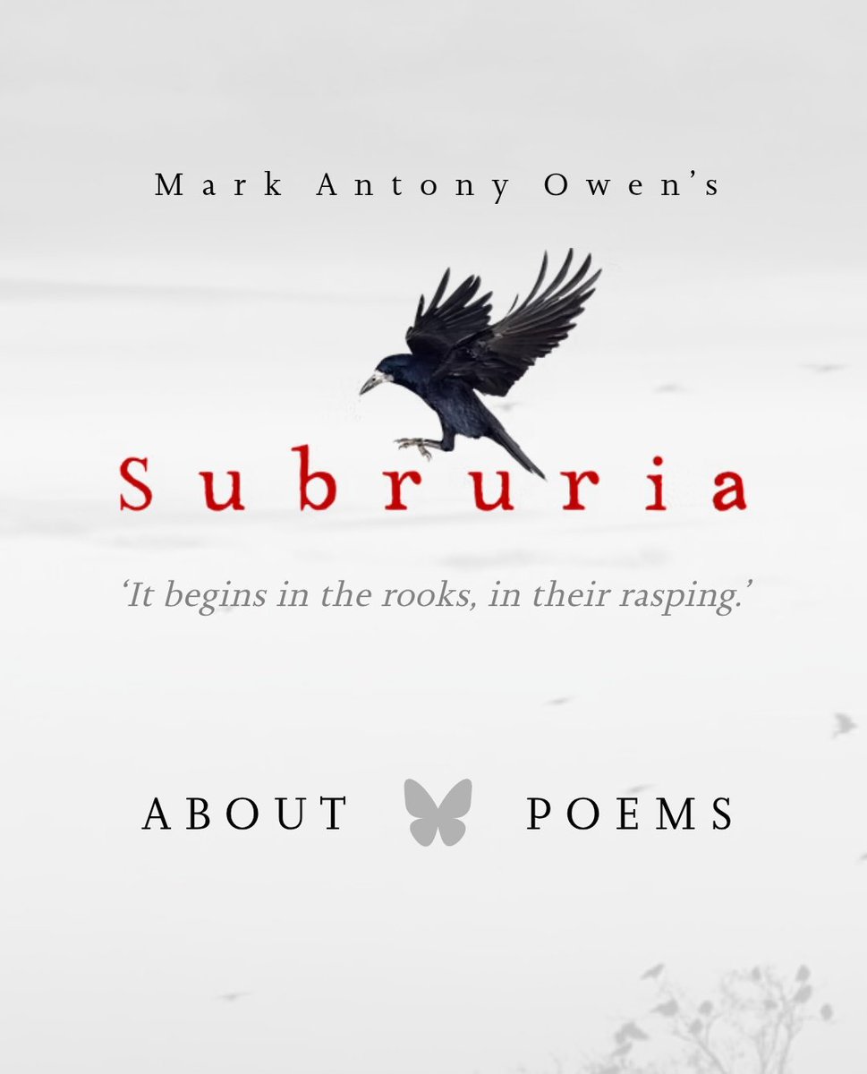 vic_spires's tweet image. I want to give a @TopTweetTuesday
boost to @MarkAntonyOwen, although I see he's just announced his imminent departure from here. Not only is he an astonishing poet himself (check out @Subruria), he also does so much to champion other poets through @iambapoet & @after_poetry