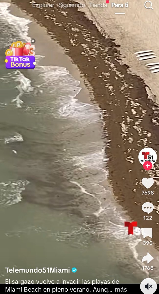 Richpaloscuates's tweet image. Tan mal lo hace la 4T que el sargazo invadió las playas de Miami, esperemos que su gente sepa que es culpa de la 4T....
(😉)