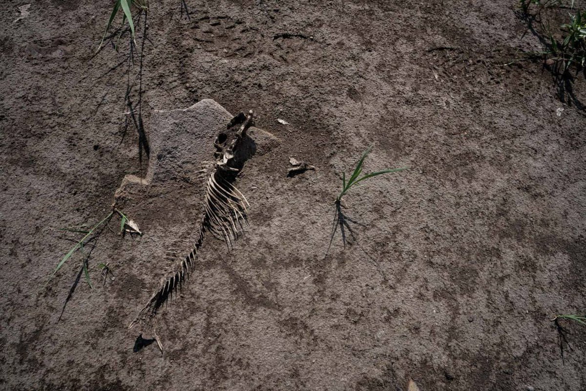 TPSpindel's tweet image. Khanzhenkivs'ke Reservoir near Donetsk has completely dried up.
Another scar on Ukrainian land. This is what russian “liberation” looks like - destruction, mismanagement, and rot.
Occupation doesn’t bring life. It drains it.