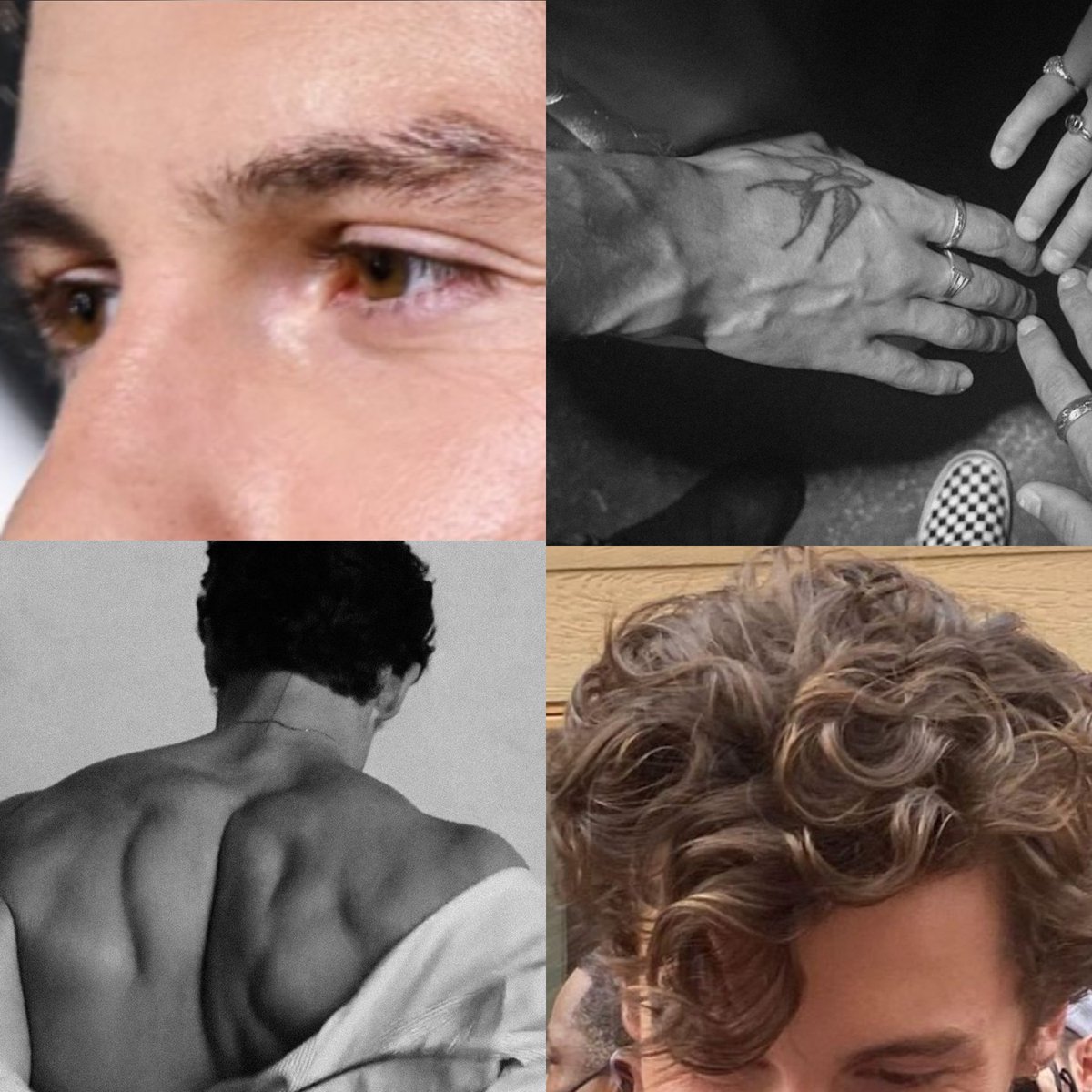 the beauty of Shawn Mendes' details.