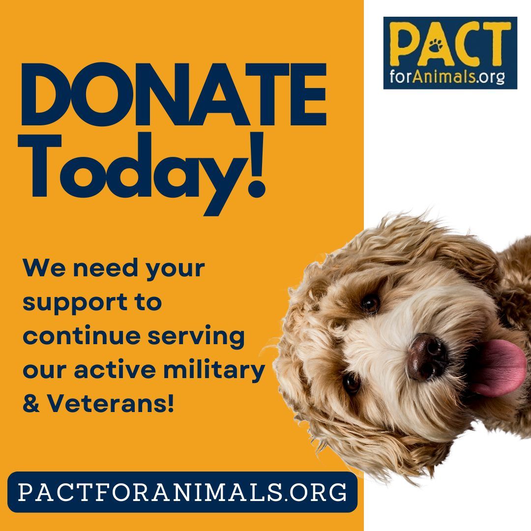 NOT_CFJ's tweet image. Every day, military families face impossible choices when duty calls—and sometimes that means leaving their beloved pets behind
Donate today! pages.donately.com/pactforanimals…
#DonateToday #MilitaryPets #VeteranSupport #FosterCareMatters #AnimalRescue #SupportOurTroops #MilitaryFamily