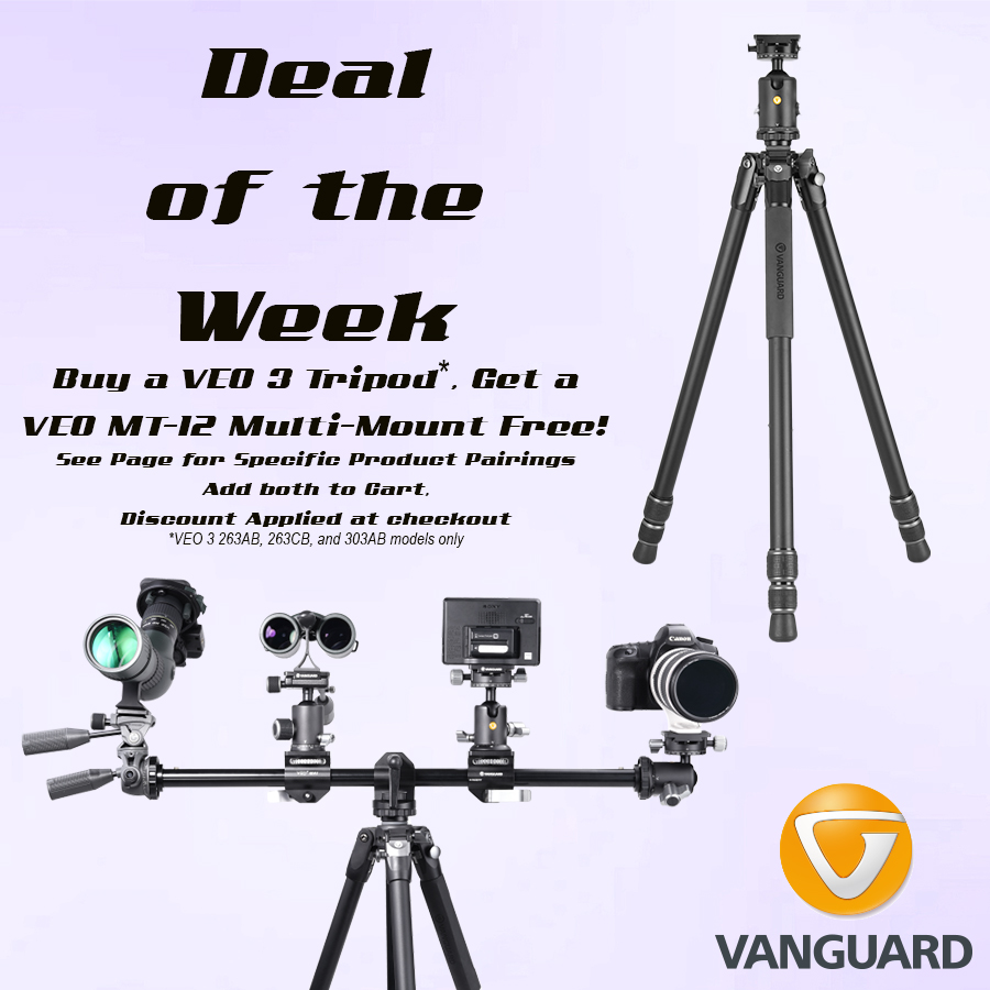 Vanguard Photo tweet media