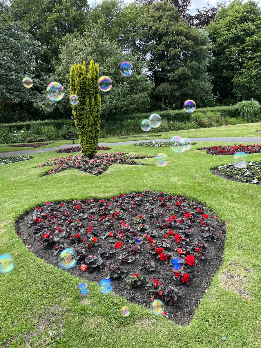 FionaHalliday1's tweet image. Bubbles and flowers in my favourite park #Stamfordpark #Tameside #Ashton #positivity My feed has had some horrible news stories today. Glad to find some good things to repost. Hoping to continue to find much better things! #poetry #art #hope