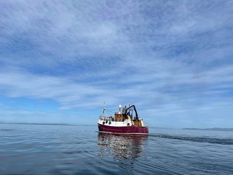 The outcome report for the consultation on recommending the Total Allowable Catch (TAC) for herring in the Firth of Clyde has been published. bit.ly/4maBud6
A recommendation has subsequently been made to the Secretary of State for determination.