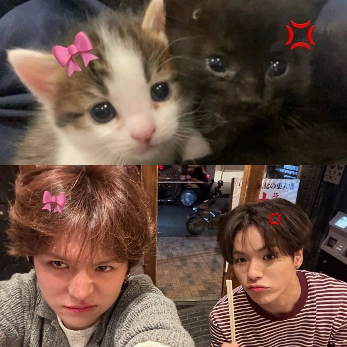 me𖦹w us (@sayonori__) on Twitter photo 