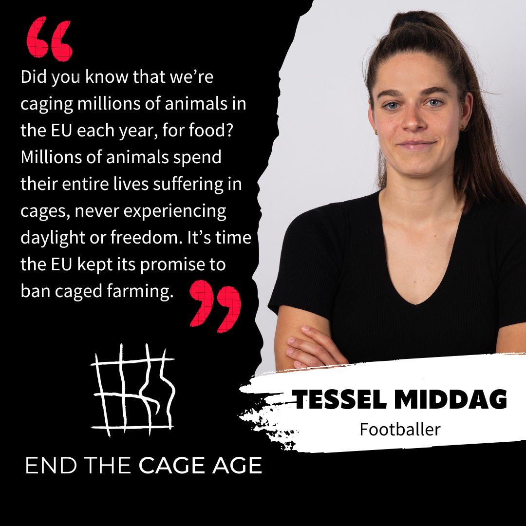 CIWF_Global's tweet image. 🚨DID YOU KNOW around 300 million farmed animals are kept in cages across the EU every year?
Footballer @tesselmiddag agrees that it's time the EU kept its promise to stop this unnecessary cruelty.
Call on @EU_Commission to #EndTheCageAge now #EURO2025⬇️
bit.ly/4lGE3Un