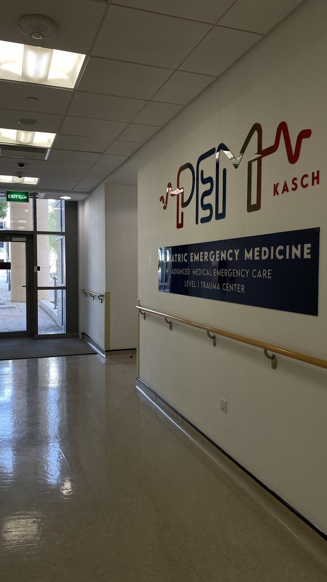 Areej ꪆ𝜚 tweet media