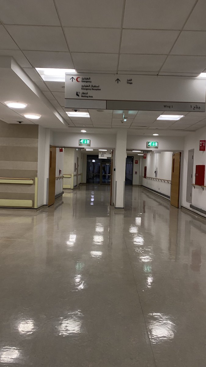 Areej ꪆ𝜚 tweet media