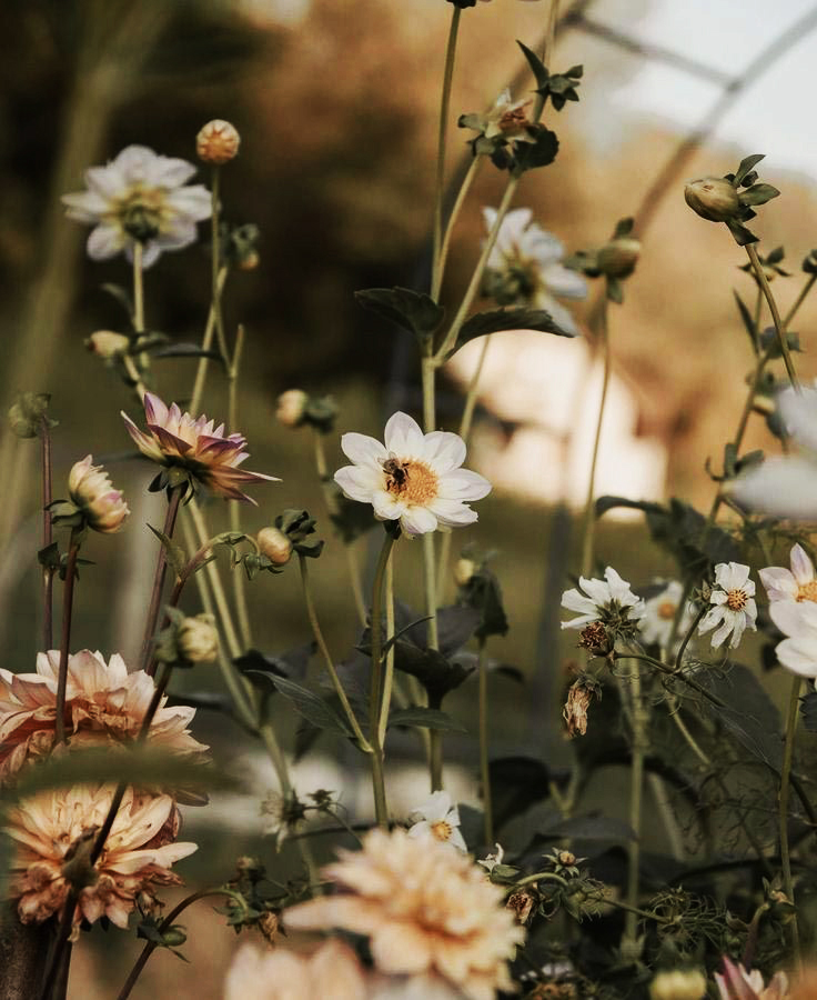 Die ganze Welt ist eine Reihe von Wundern,
aber wir sind so daran gewöhnt, sie zu sehen
dass wir sie gewöhnliche Dinge nennen.

- Hans Christian Andersen -