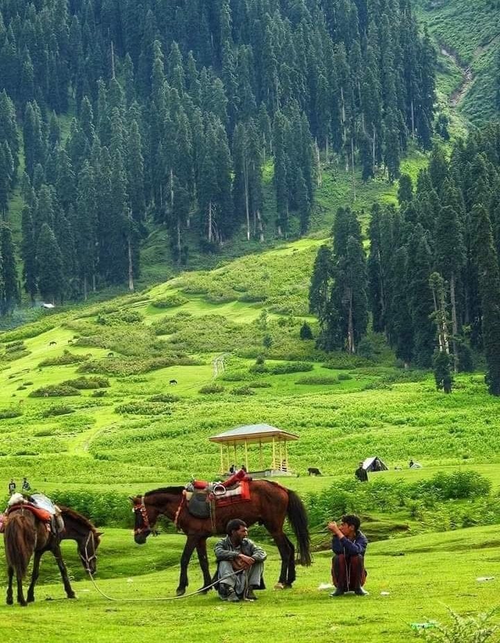 JhanUlfat's tweet image. Doodhpathri kashmir