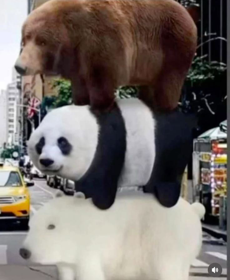 🕐HOURLY🕑 shitpost (@hourly_shitpost) on Twitter photo 