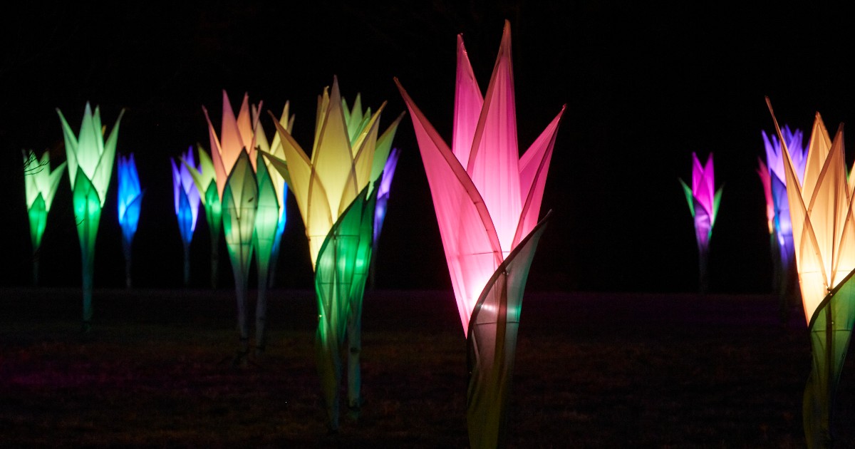 chicagobotanic's tweet photo. Get ahead of the holiday shine.✨ Select a date and time now to celebrate the holiday season at #LightscapeChicago. Need to keep your options open? Reserve a spot today, exchange later as needed with our flexible exchange policy. Learn more: https://t.co/i37wadnG3b https://t.co/rsdCwzmTcD
