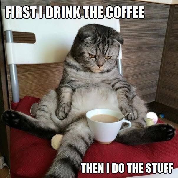 J_Schiecke's tweet image. Good morning, friends! Let’s do this ☕️ Wishing you all a lovely day 💙