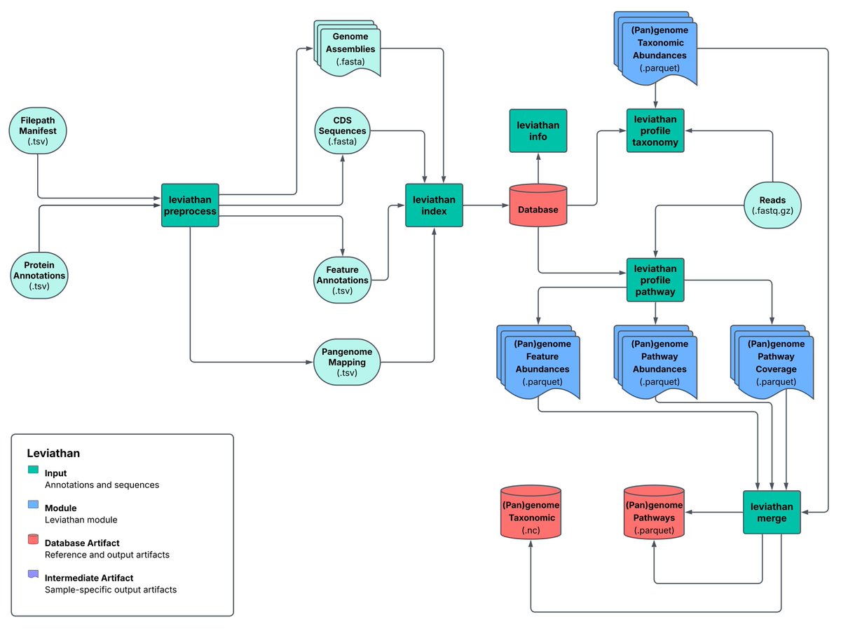 strnr's tweet image. Leviathan: A fast, memory-efficient, and scalable taxonomic and pathway profiler for next generation sequencing (pan)genome-resolved metagenomics and metatranscriptomics biorxiv.org/content/10.110… 🧬🖥️🧪 github.com/jolespin/levia…