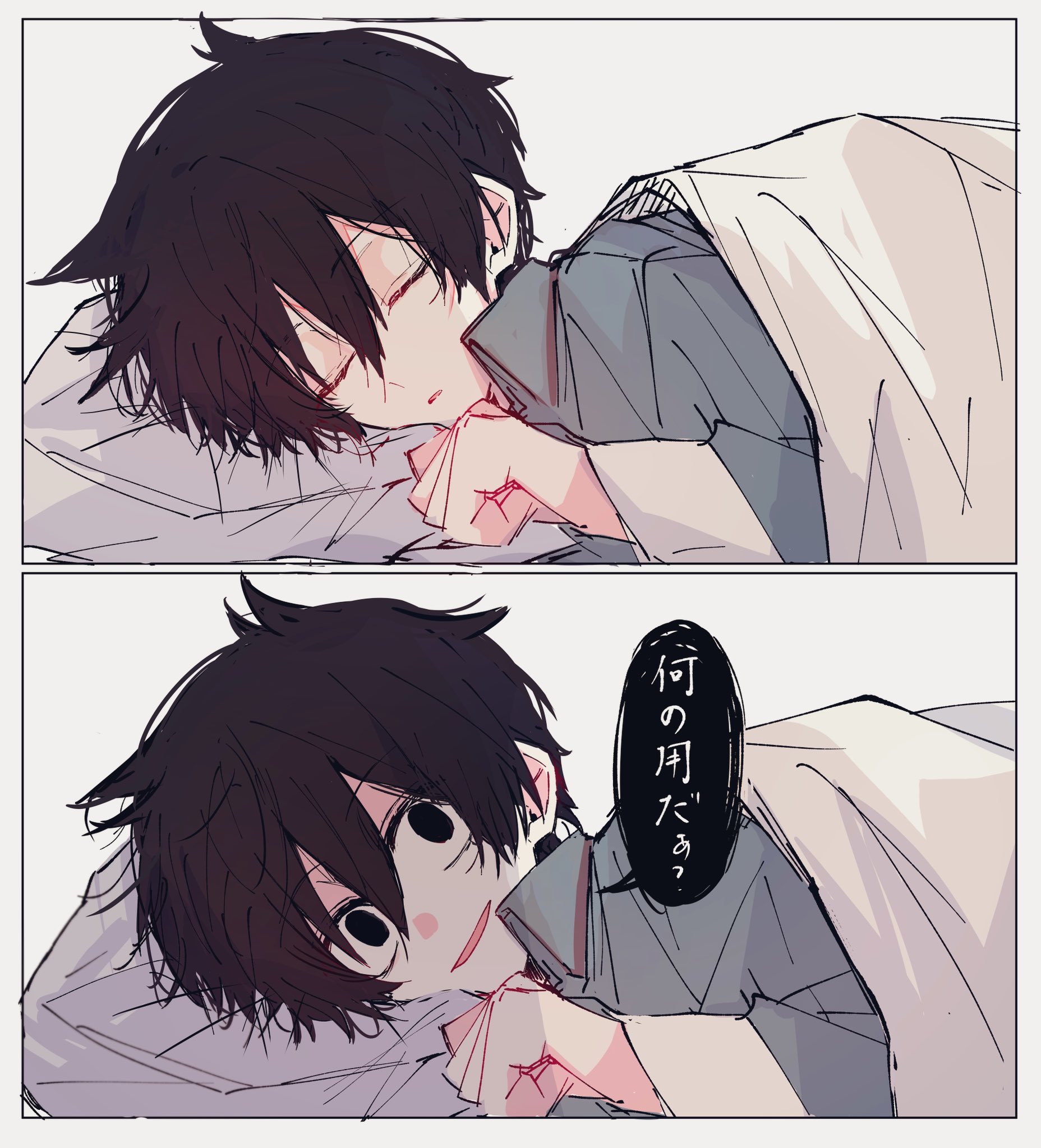 ②猫の日♡限定m(=✧ω✧=)m✧ ✧ ✧ 白猫♡白猫　猫ひな人形 Forever on X: 