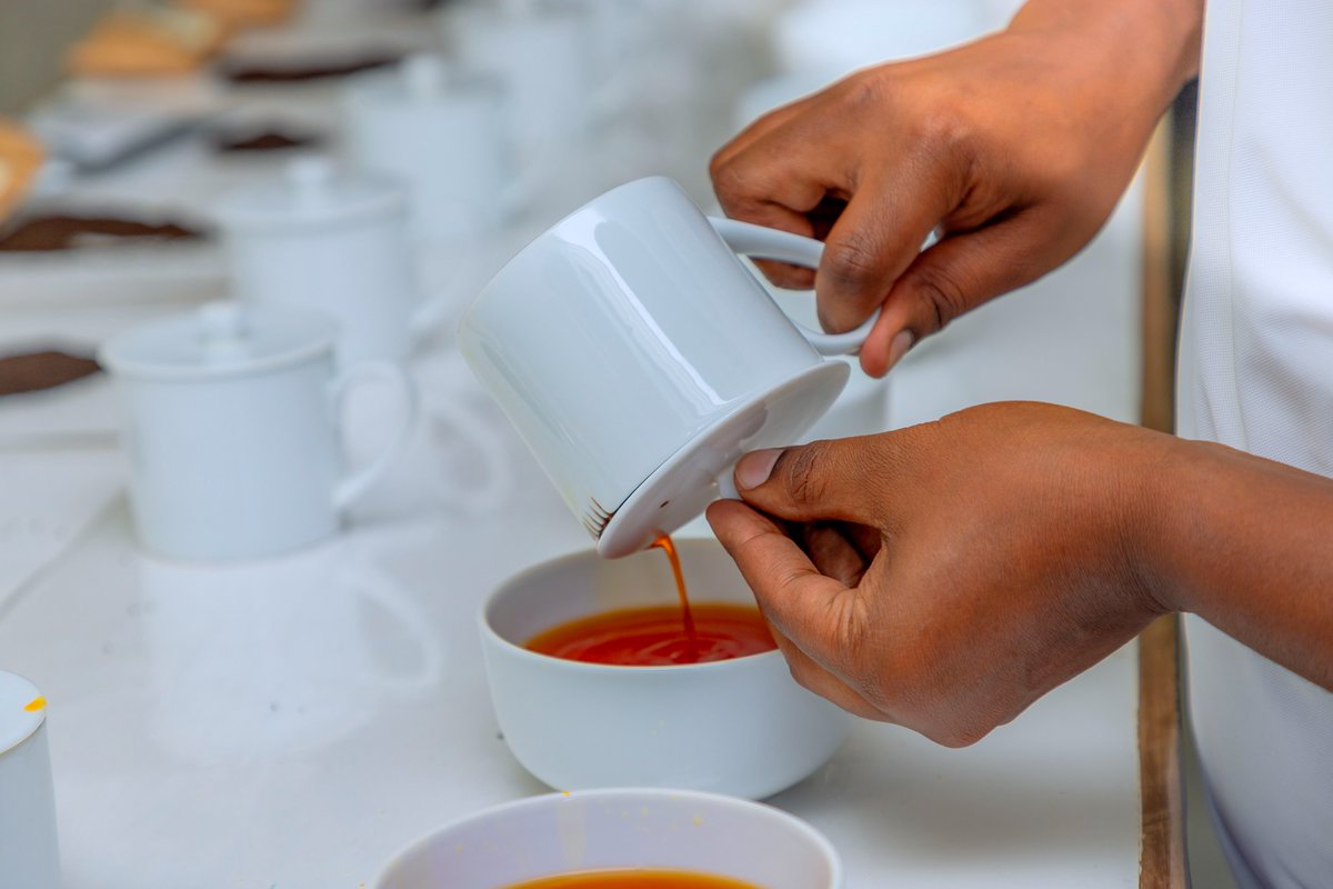 SilverbackTea's tweet photo. From Pfunda Tea Estate to Your Cup
Every Silverback Tea batch is crafted with care—from hand-plucked leaves to expertly processed flavors.
The result is a consistently exceptional tea experience.
#SilverbackTea #PfundaTeaCompany #LeafToCup https://t.co/DwxicIrvLw