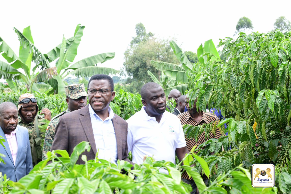 BugandaKingdom_'s tweet image. Kamalabyonna alambudde amaka ga Hajji Yawe Ramathan e Makukuba mu lugendo lwaliko olw'okulambula abalimi b'emmwanyi e Kyaggwe.
Katikkiro asinzidde mu maka ga Yawe Aramanthan kati omugenzi, batabani be abaasalawo obutatunda ttaka lya bazadde baabwe wabula nebalyongerako omutindo…