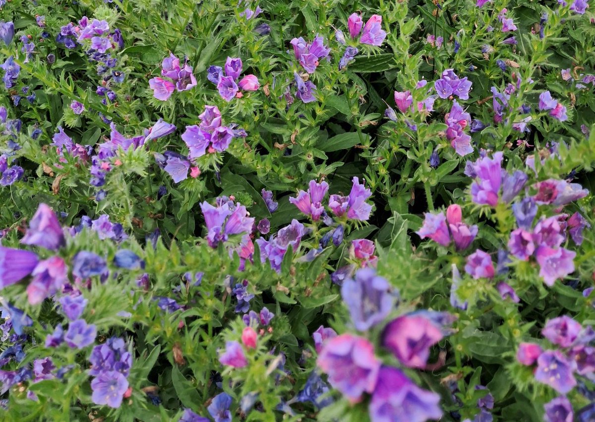 Ports of Jersey tweet media