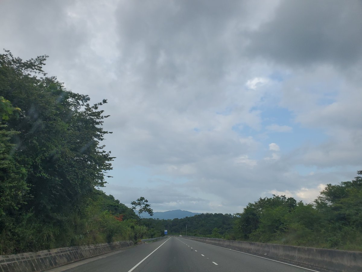 CaroleBeckford's tweet image. Country Road, take me home #Trelawny #TuesdayScenes @jahmekyagyal