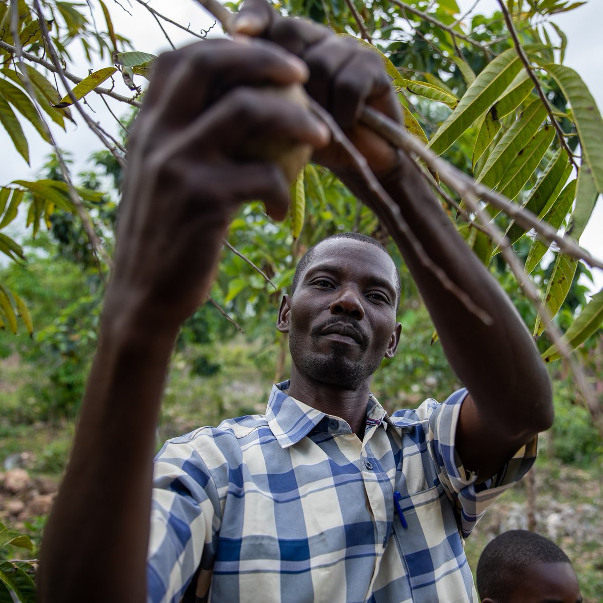 WFP_Haiti's tweet image. 🙏@SwissMFA 🇨🇭!
In the face of a rapidly shifting humanitarian landscape, your flexible contribution is incredibly valuable.
It enables @WFP to respond to emergent needs, covering critical areas like emergency assistance for displaced people as well as agricultural programmes🤝