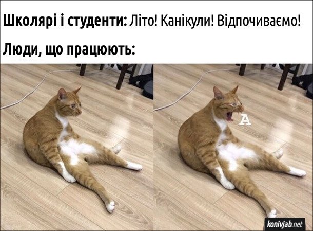 pani_hvylyasta's tweet image. Що ви робили підчас літніх канікул у школі