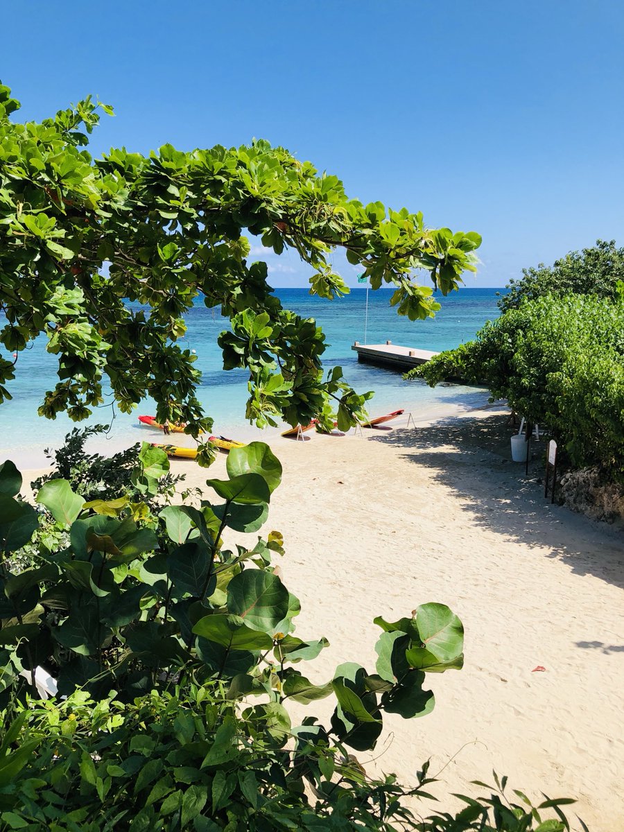 1Travel_Gal's tweet image. Happy Good Tuesday almost afternoon! This came up on my memories today … I thought I would share with you 🏝️ Sandals Ochi back in September of 2018 such good times! Have a great day y’all ☀️🌊👙⛱️
#TuesdayVibes