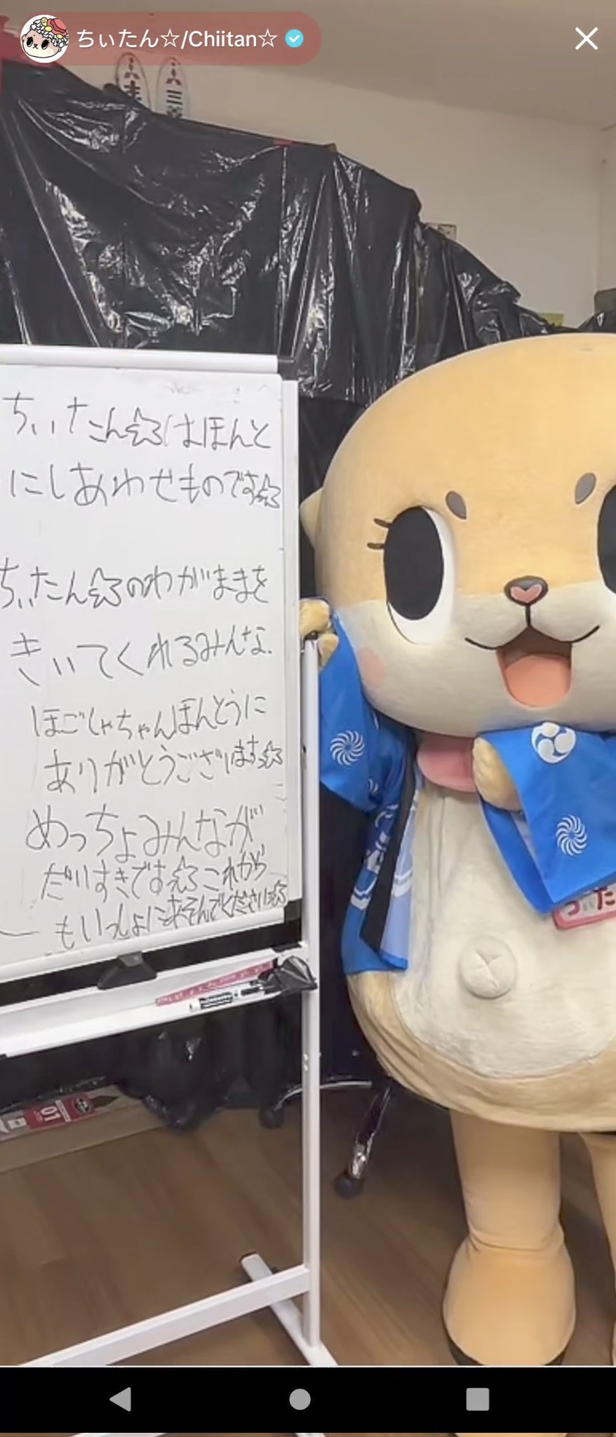 meちゃん様 リクエスト 2点 まとめ商品 とっちゃん様 リクエスト 2点 まとめ商品 【公式通販】