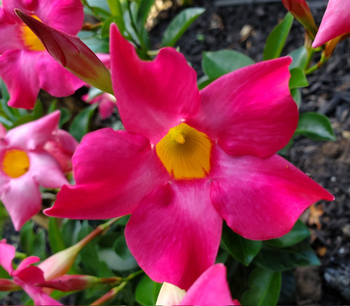 MMcLaughlinsong's tweet image. May you see God's blessings all around you today.