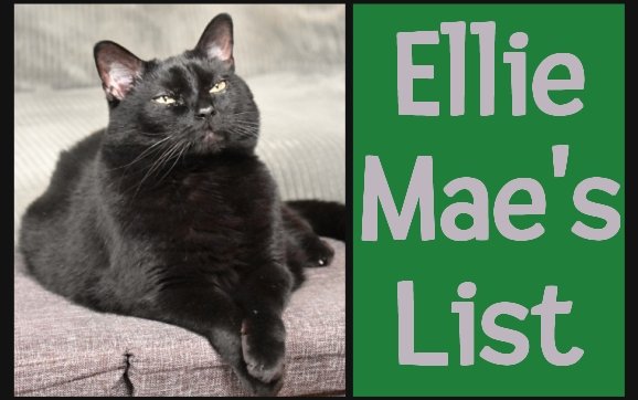 Today's re-run from May 2024: Ellie Mae's List.

#cat #trouble #daddysgirl 

mommakatandherbearcat.com/2024/05/ellies…