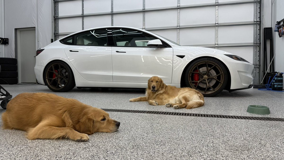 OutofSpecDetail's tweet image. Shout out to the shop dogs. Always supervising dad detailing cars 👌