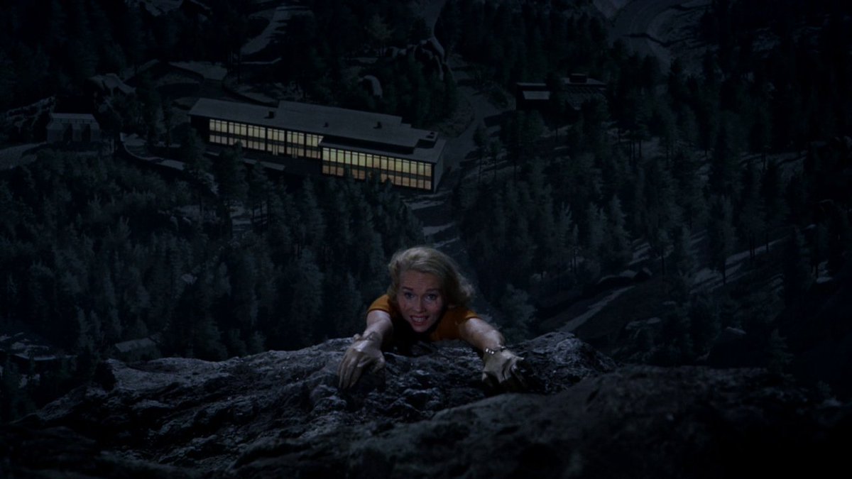 HighestMovies's tweet image. North By Northwest (1959) dir. Alfred Hitchcock
