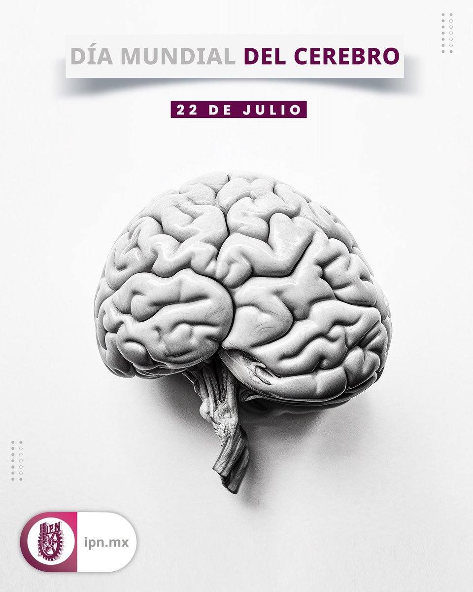 🧠✨ En el #DíaMundialDelCerebro celebramos al motor de nuestras ideas y guardián del conocimiento.
En el #IPN, lo entrenamos, lo desafiamos y lo nutrimos con ciencia, tecnología y pasión por aprender.🧪📚