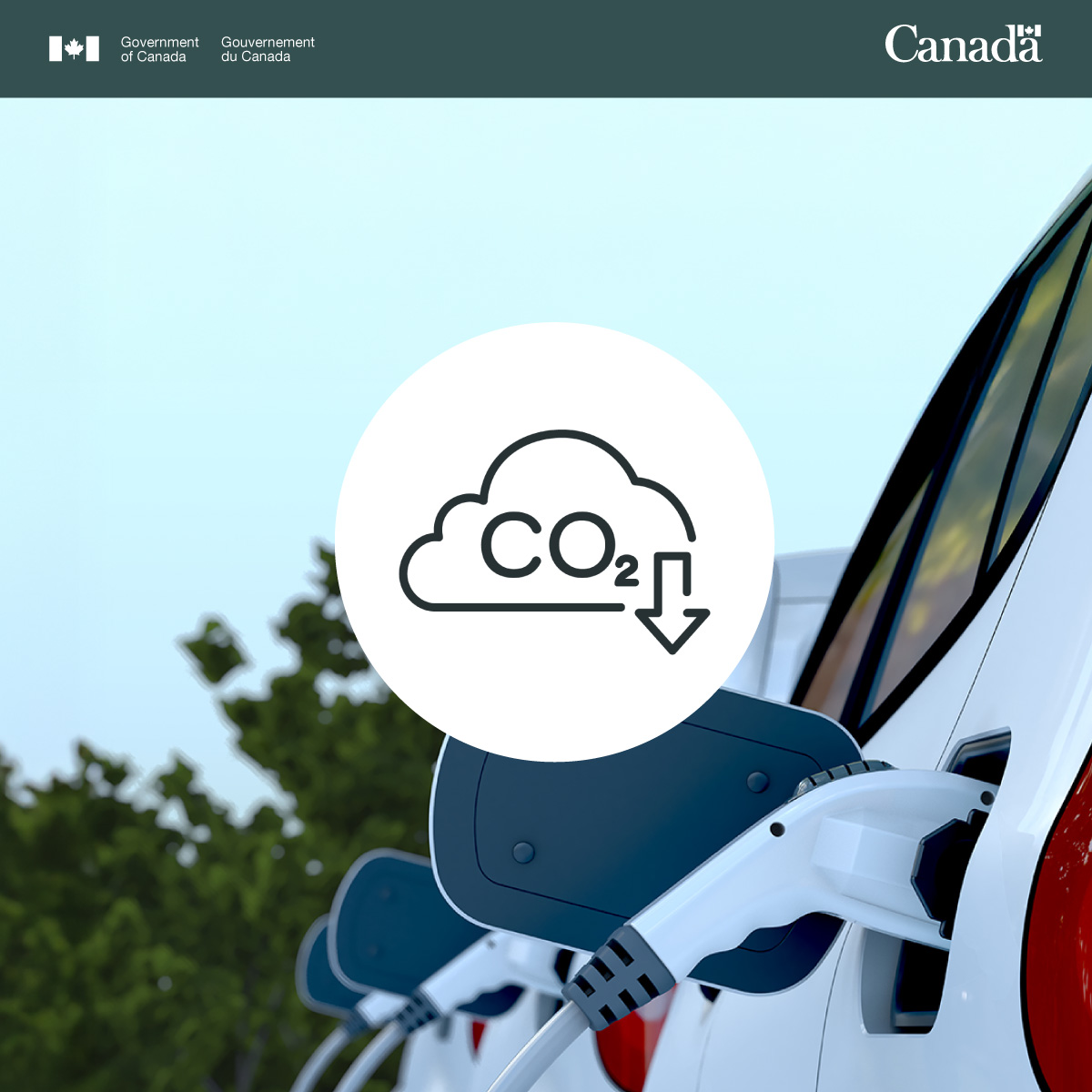 TBS_Canada's tweet image. 📣 The 2025 Green Fleet Best Practices Guide is now available! It provides a roadmap to effectively manage the transition to zero-emission in public fleet. Find out how @NRCan’s Guide complements the #GreeningGov Strategy ➡️: ow.ly/9YfF50Wtp42