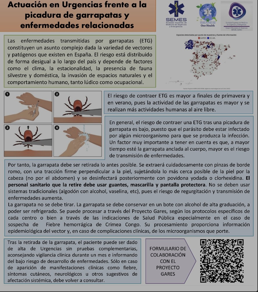 Actuación en Urgencias frente a la picadura de garrapatas 🕷 y enfermedades relacionadas.

Vía <a href="/SEMES_/">SEMES</a>