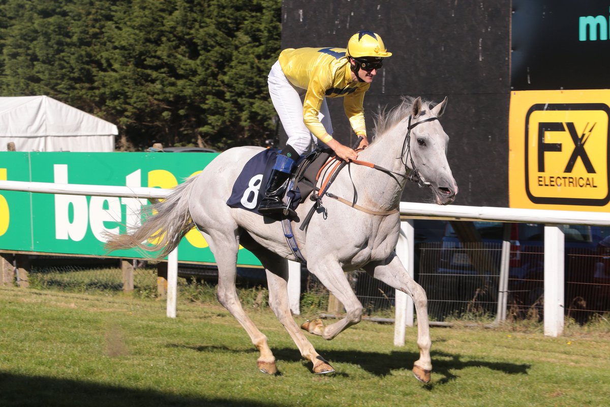 The Festival of Racing Countdown is on!  Memories of Roy Rocket 🐴 the quirky grey who won 9 times at Brighton, including a legendary final victory in 2018 that had the crowd roaring. A true fan favorite.  Read more here 👉 brighton-racecourse.co.uk/news/Racing/fe…