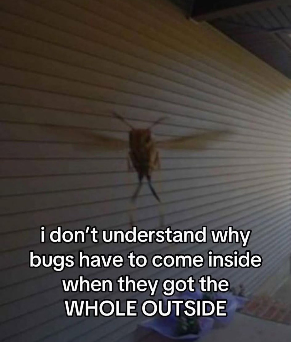 GwePzoFbEAEHzx0?format=jpg&name=large