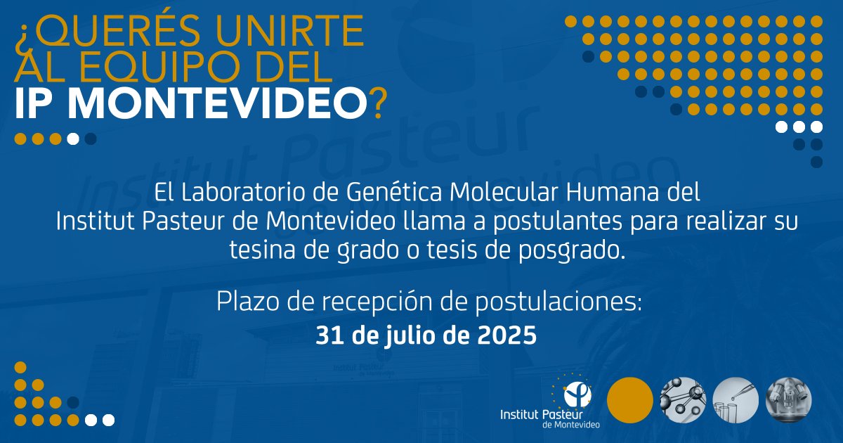 IPMontevideo's tweet image. 📢 ¡Llamado abierto!
El Laboratorio de Genética Molecular Humana del instituto llama a postulantes para realizar su tesina de grado o tesis de posgrado.
🗓️ Plazo para postularse: 31 de julio.
Más información 👉 bit.ly/3Izhx18