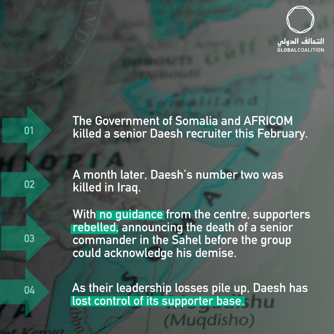 coalition's tweet image. Daesh's leadership crisis deepens as losses mount and control erodes. Their commanders fall while their followers act without orders, exposing a fractured organisation struggling to maintain unity.