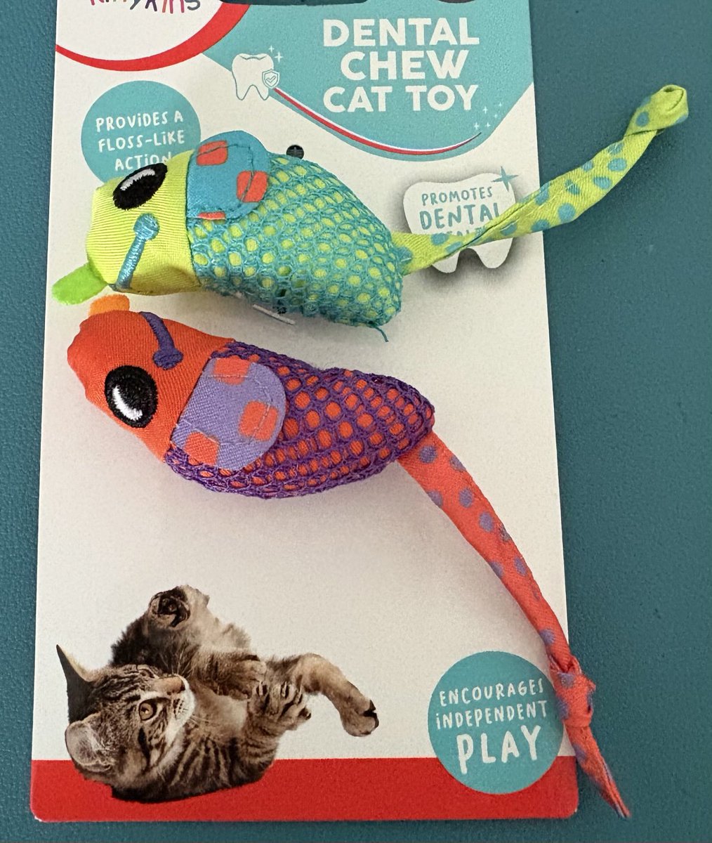 Orcinus68's tweet image. The boy has new stuff 😺 #CatsOfTwitter