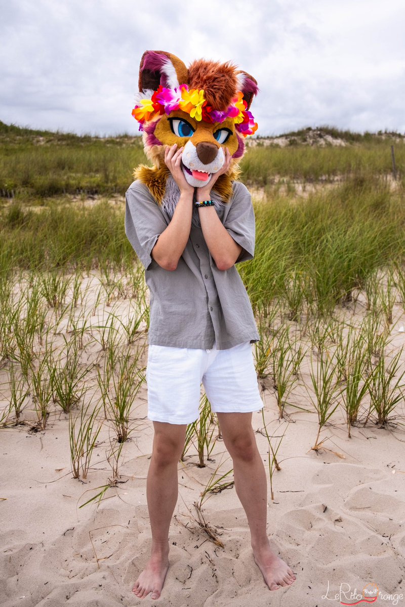 Rune π AC β25 (@cawyote) on Twitter photo they said no dogs on the beach but this one wants to stay π₯Ί
πΈ: <a href="/LeRitoOrange/">Champion Zane πͺΆπ FD, MP</a> π§‘ they said no dogs on the beach but this one wants to stay π₯Ί
πΈ: <a href="/LeRitoOrange/">Champion Zane πͺΆπ FD, MP</a> π§‘