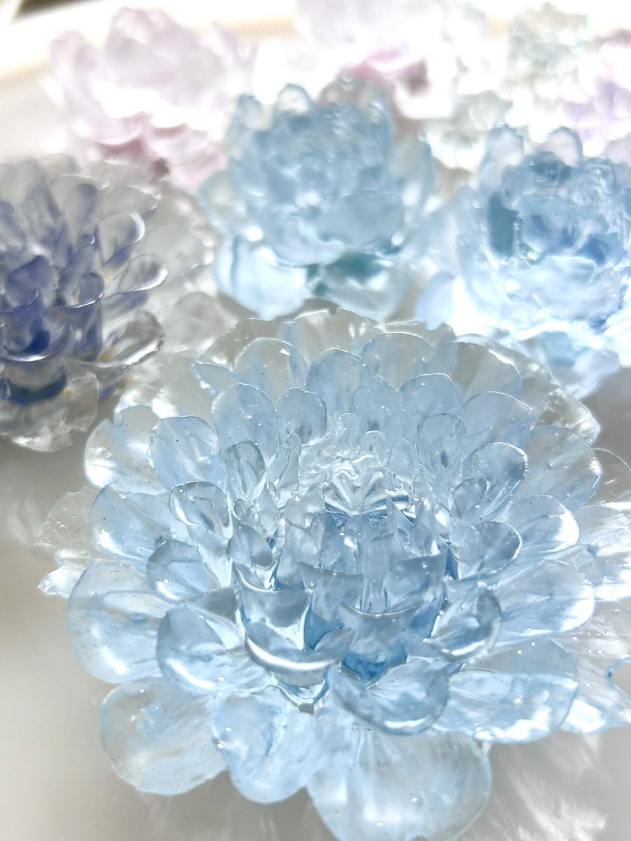 Delphimee's tweet image. #暑いので涼しくなる画像を貼れ

˖ ࣪⊹  キラキラのお花たち
𓂃 𓈒𓏸涼しくなれるかな𓂃 𓈒𓏸