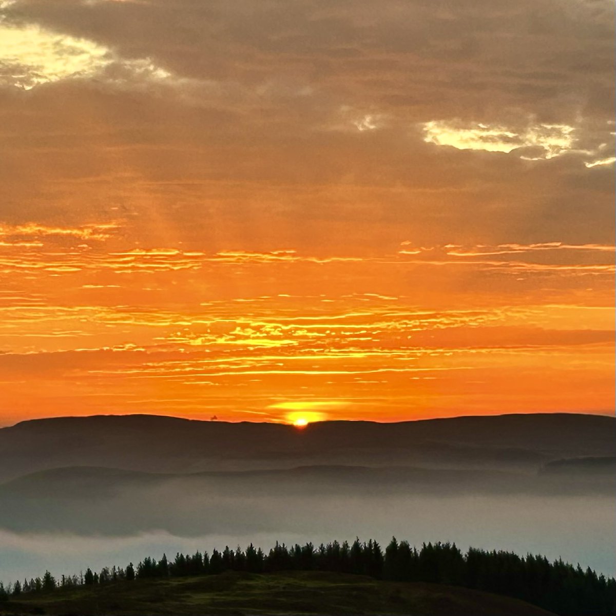 sort_of_dan's tweet image. Would you sleep on a mountain to wake up above the clouds?
(P.S. After some terrible days, ill & general chaos, I will be resuming 5am starts tomorrow to make up for lost time! Lets go!)