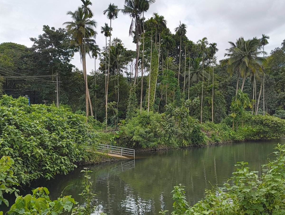 limirose's tweet image. And quiet flows the chira.....😇