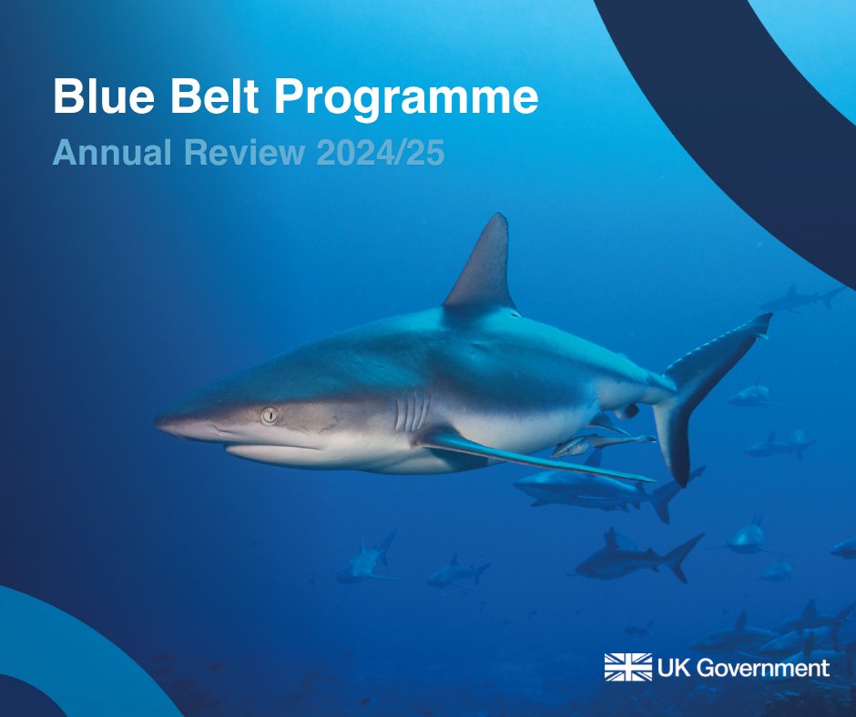 Another year of ocean protection 🌊 

We’ve been supporting 10 UK Overseas Territories from Antarctic waters to tropical reefs and together we're safeguarding more than 4 million km² of marine environment for future generations. 

Discover more: bit.ly/3UvSFd3

#UKOTs