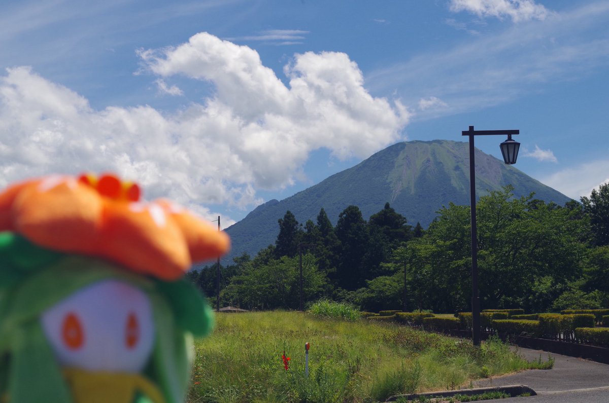 pqr__stu's tweet photo. 結婚1年の記念日旅行で
3泊4日の島根鳥取のポケふた巡り🌷
全部🐿️が計画立てて運転してくれた🙏
同じ趣味で楽しめるのは最高だ〜

RINRINさんDONちファミリーとも合流できて楽しさ爆増！遊んでくれて感謝😭🫶

またたくさんポケふた巡りに連れていってもらうぞ〜✊ https://t.co/cnixUcodBf