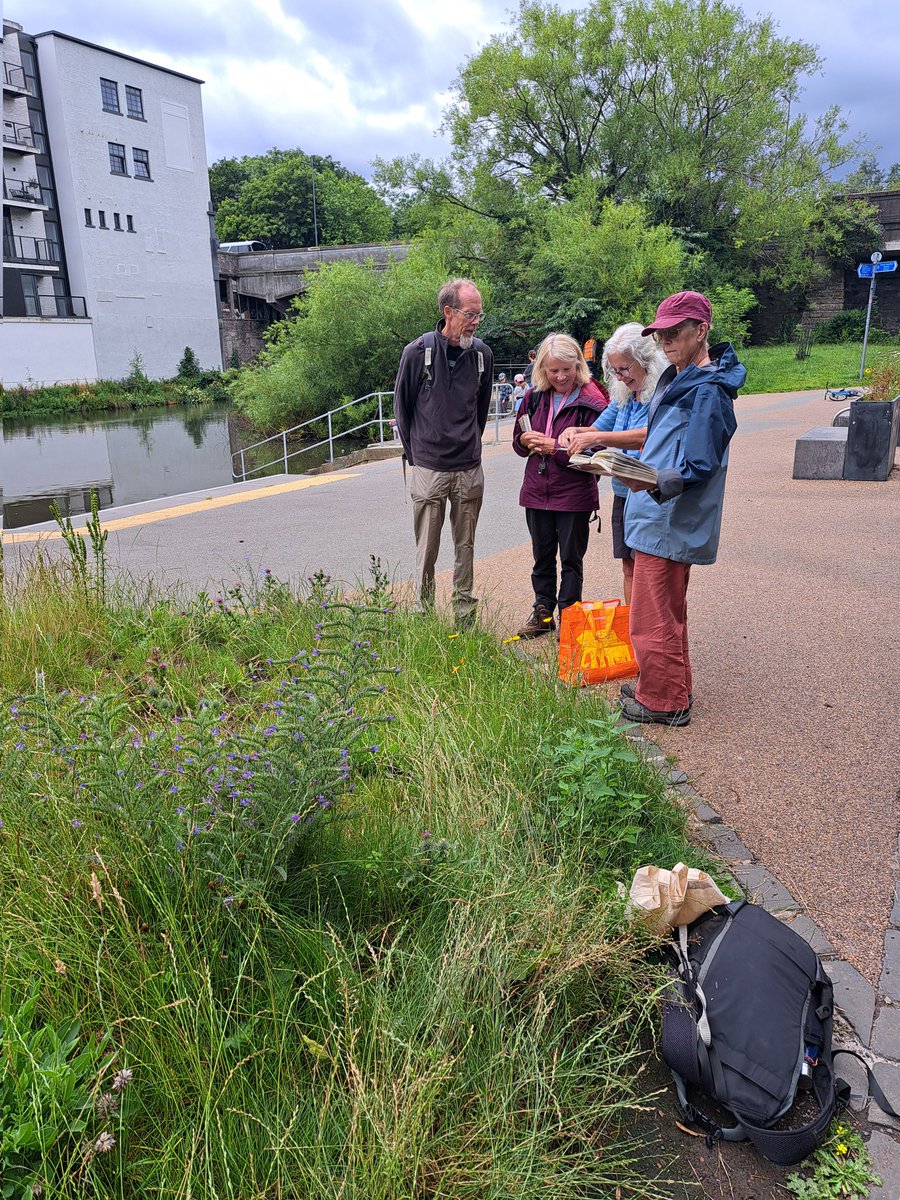 WOLCT's tweet image. Three teams in Leith today.
 1. Three mini meadows surveyed to check on diversity 
2. Litter picking crew, tidied from the Shore to West Bowlin Green St
3. Skate park team continued the landscaping work with some hard, digging, raking and planting.