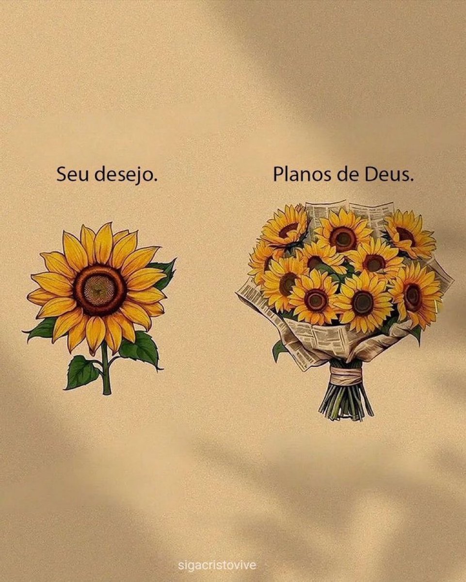 soulembrancas's tweet photo. https://t.co/WEZoOJhH96