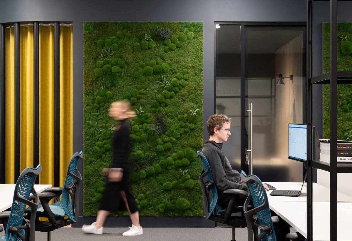 360 Workplace tweet media